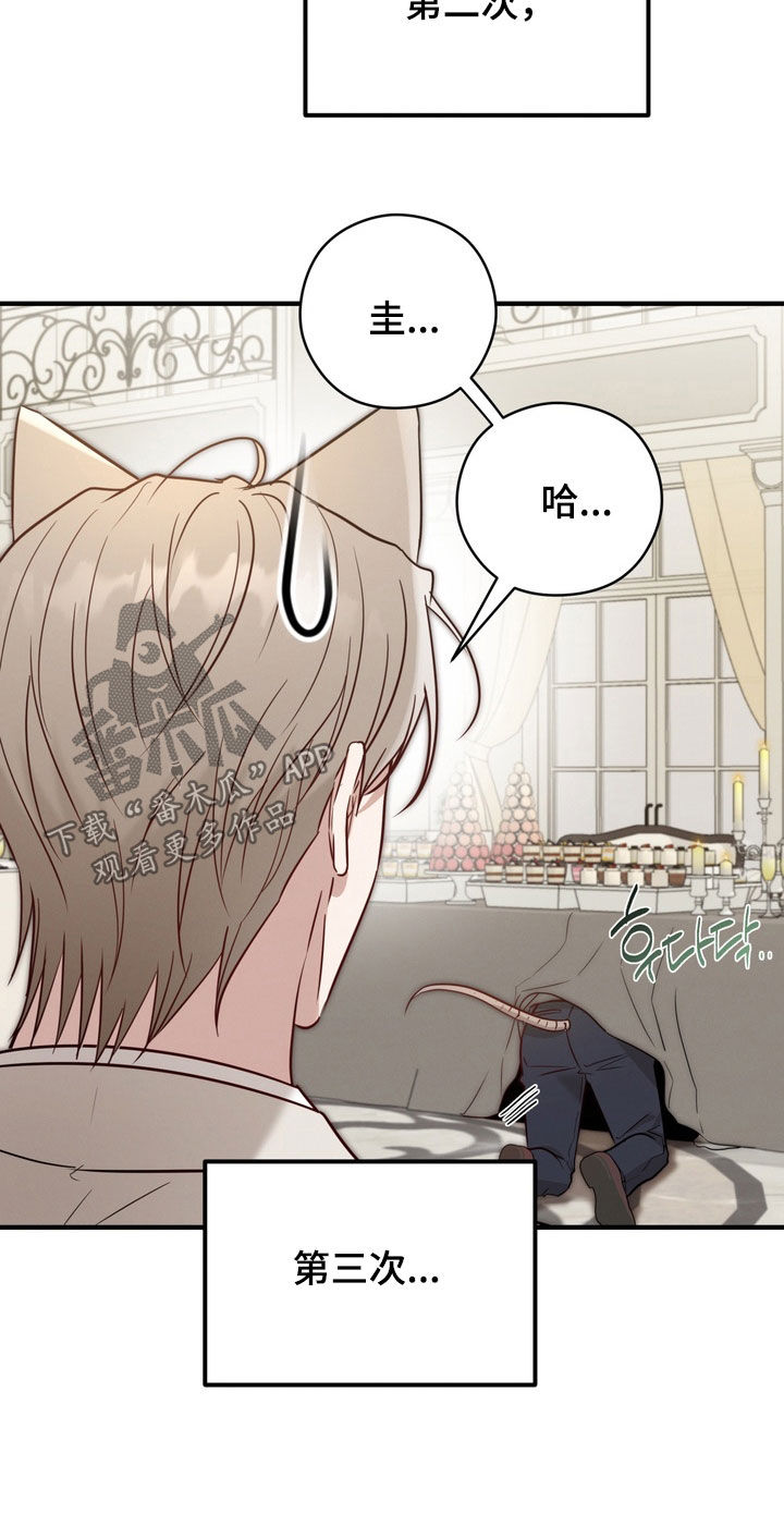 金主面对面韩漫漫画,第37章：偶遇1图