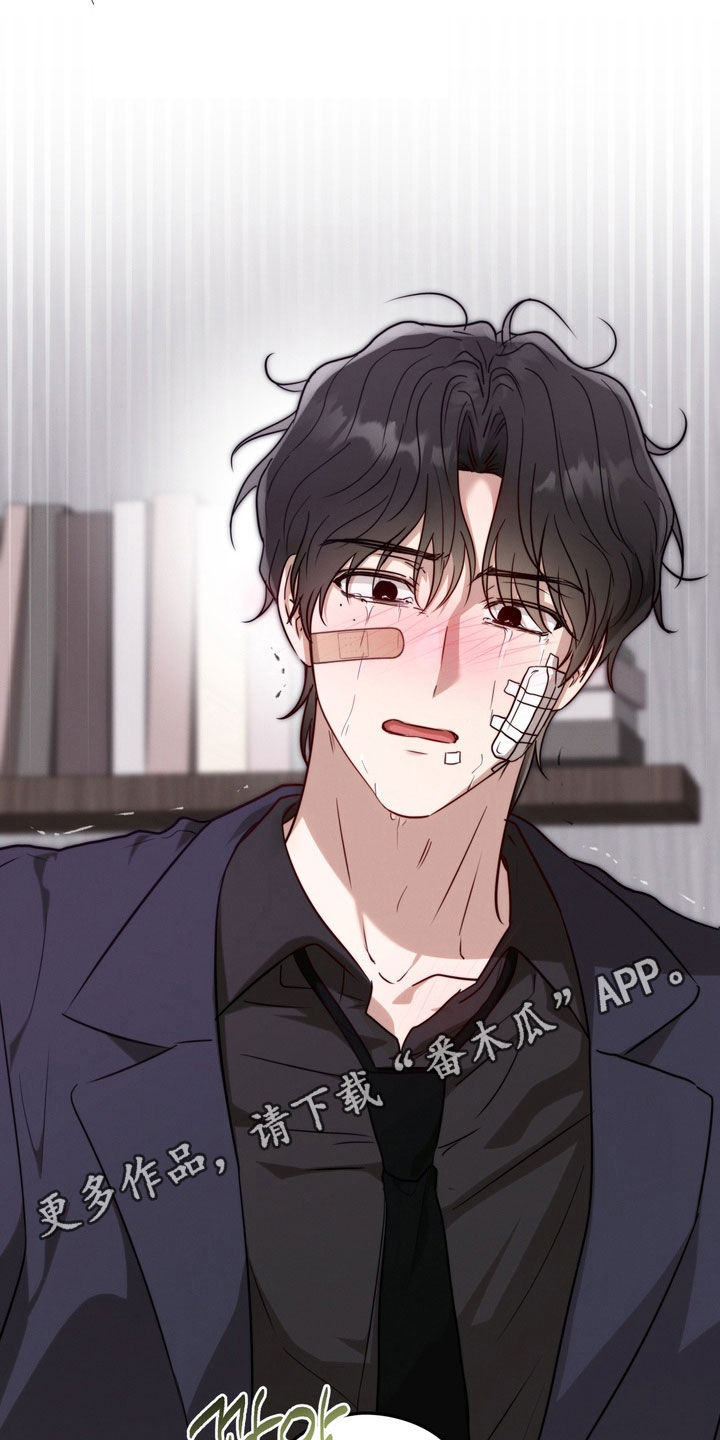 金主了解一下漫画,第40章：对不起1图
