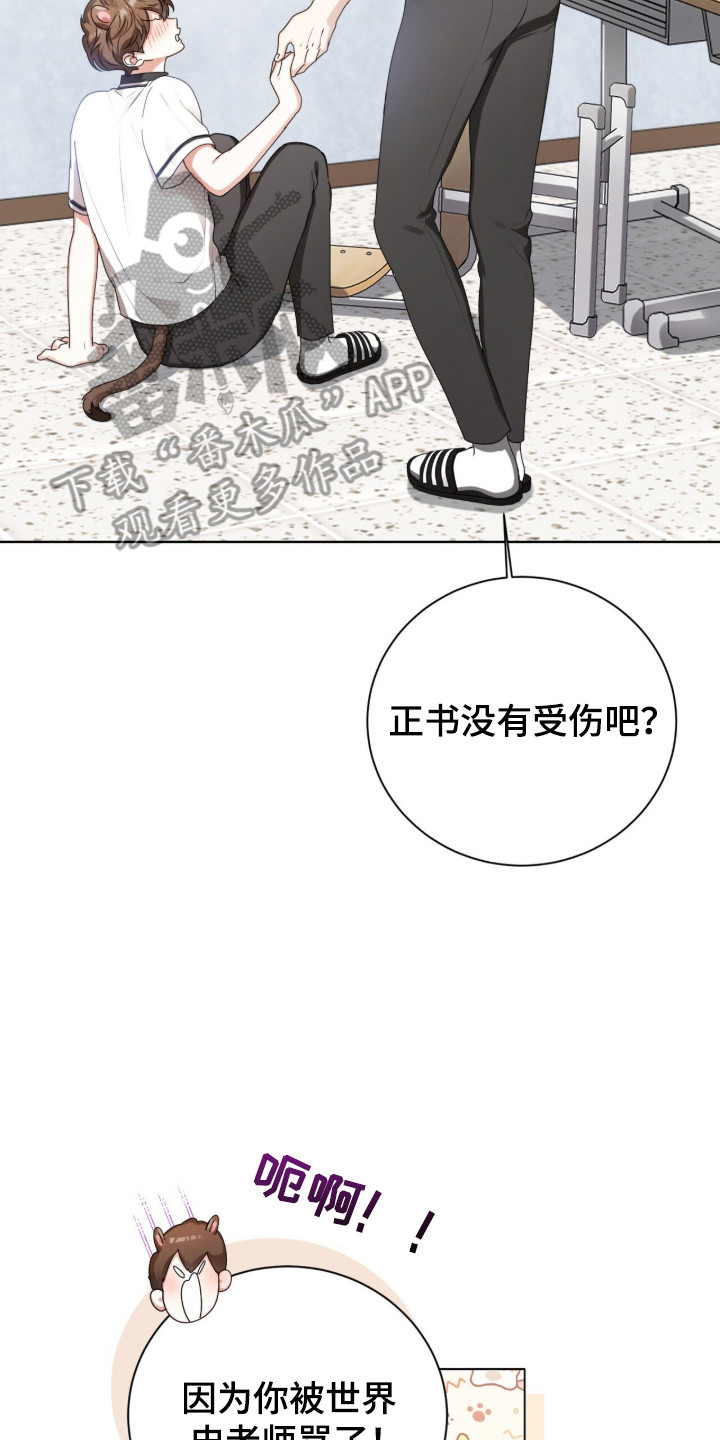 猛兽勿近漫画,第47章：限定白毛3图