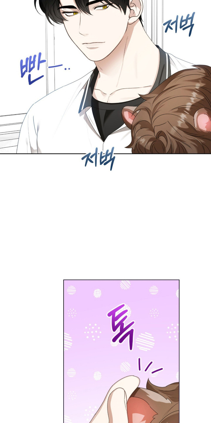 猛兽勿近漫画,第47章：限定白毛5图