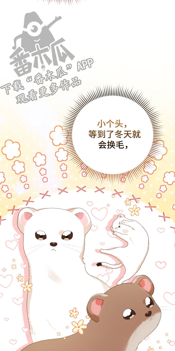 猛兽勿近漫画书正版漫画,第49章：有话要说3图