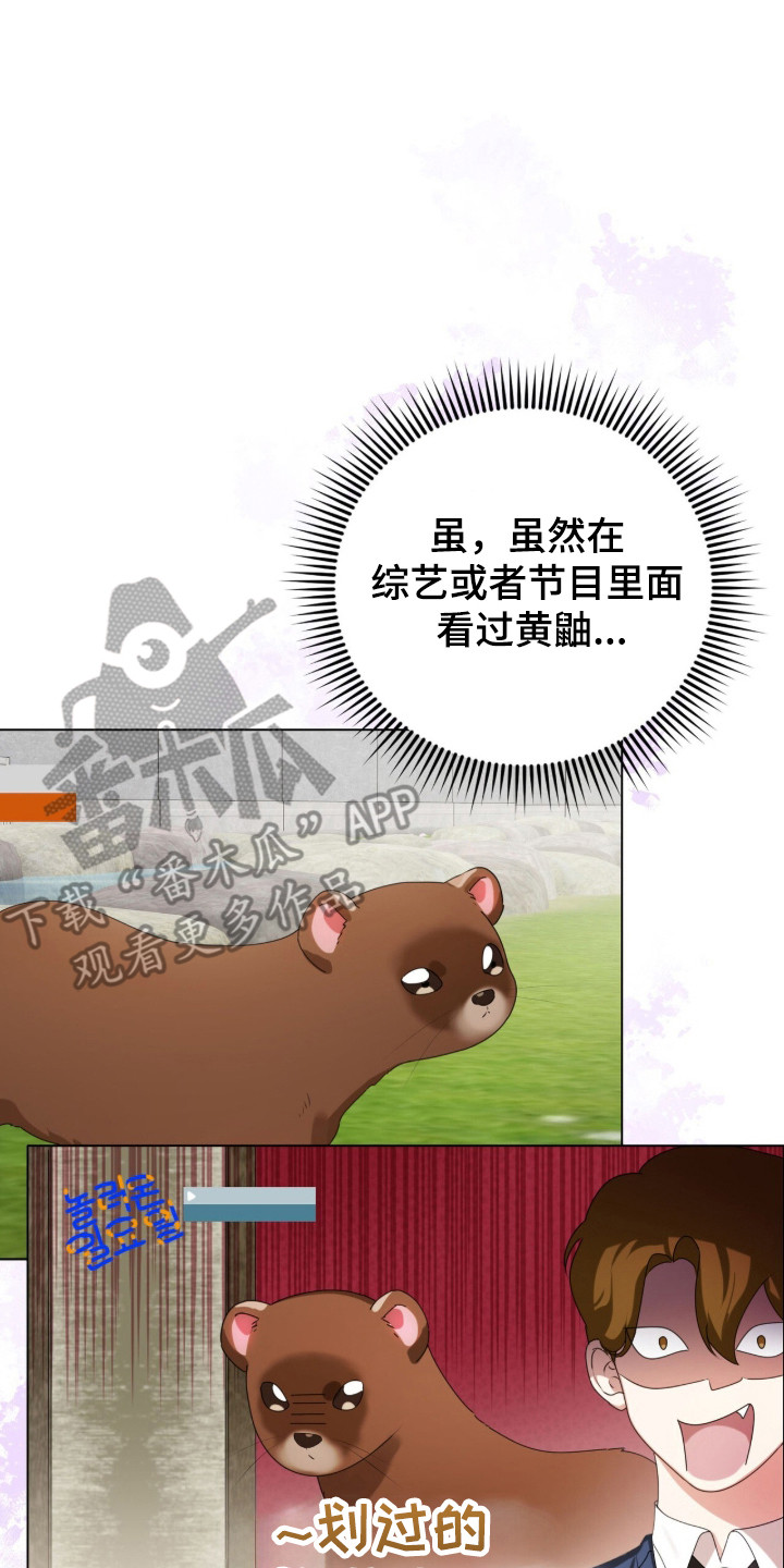 猛兽勿近漫画书正版漫画,第49章：有话要说3图