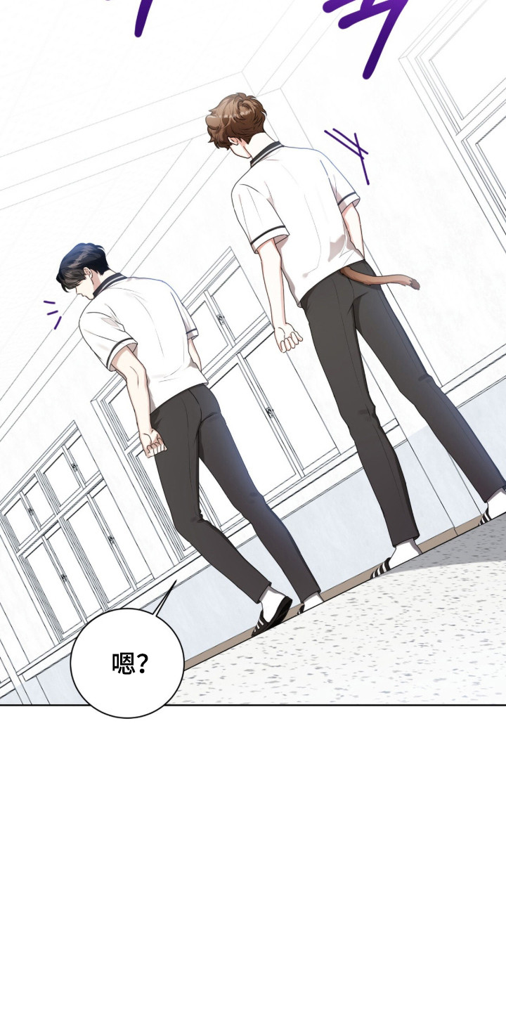 猛兽勿近漫画,第47章：限定白毛5图
