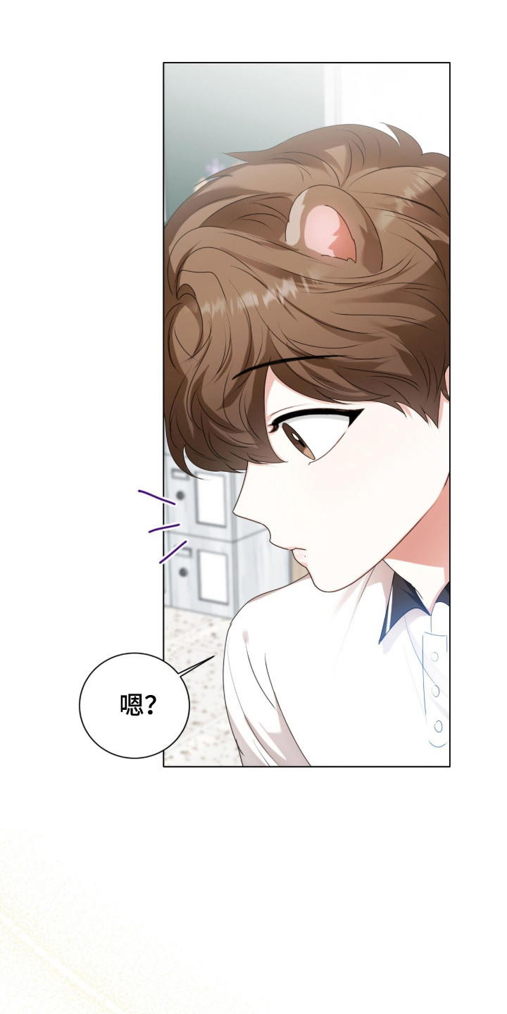 猛兽解释漫画,第47章：限定白毛1图