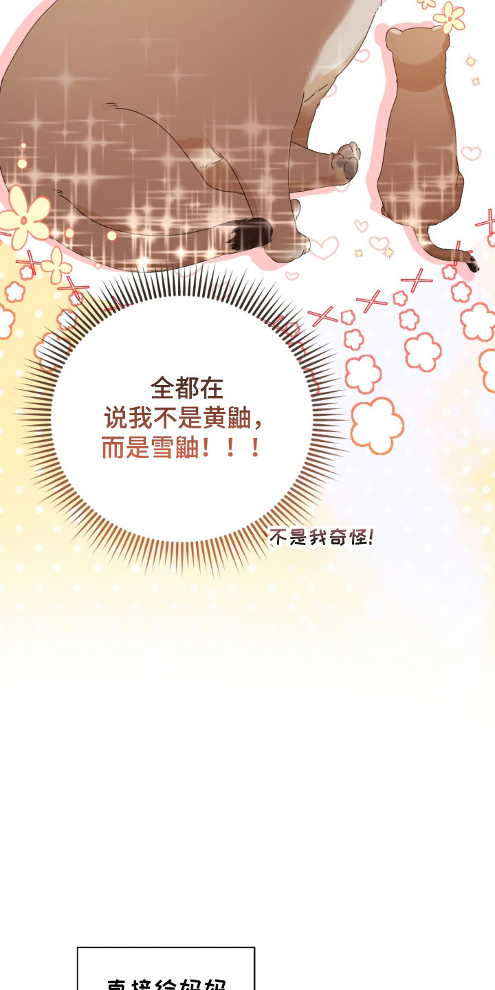 猛兽勿近漫画书正版漫画,第49章：有话要说4图