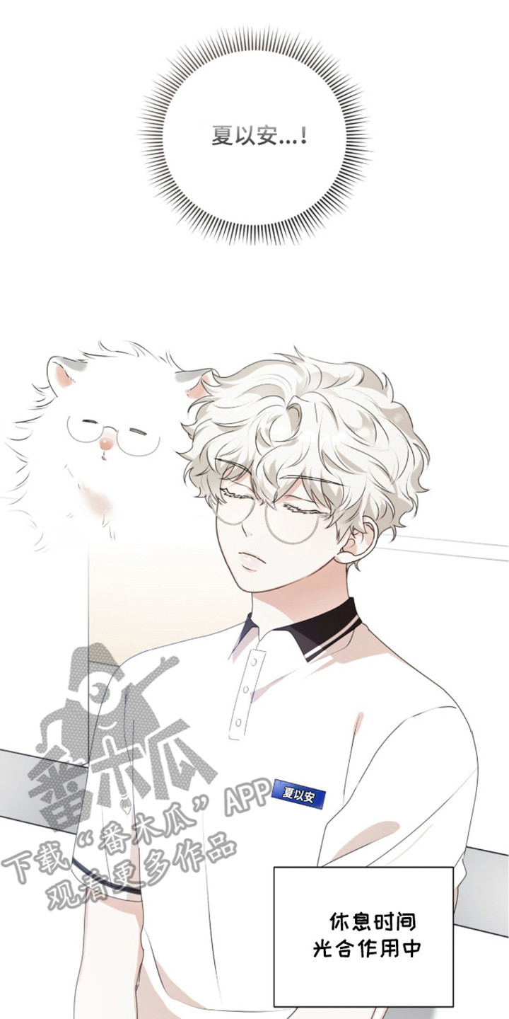 猛兽勿近小说正版漫画,第53章：秘密武器3图