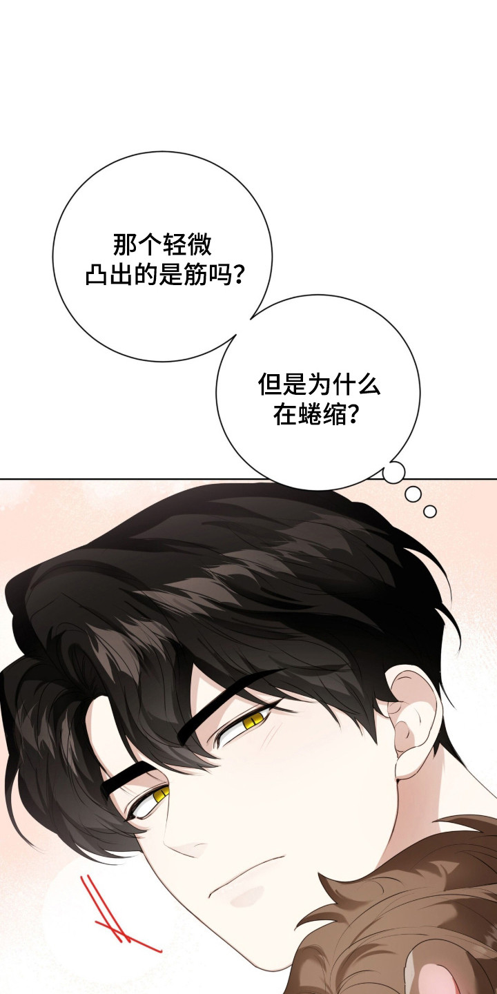 猛兽解释漫画,第47章：限定白毛4图