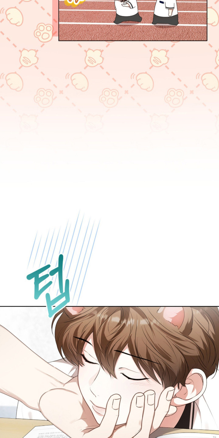 猛兽勿近解说漫画,第50章：受到惊吓4图