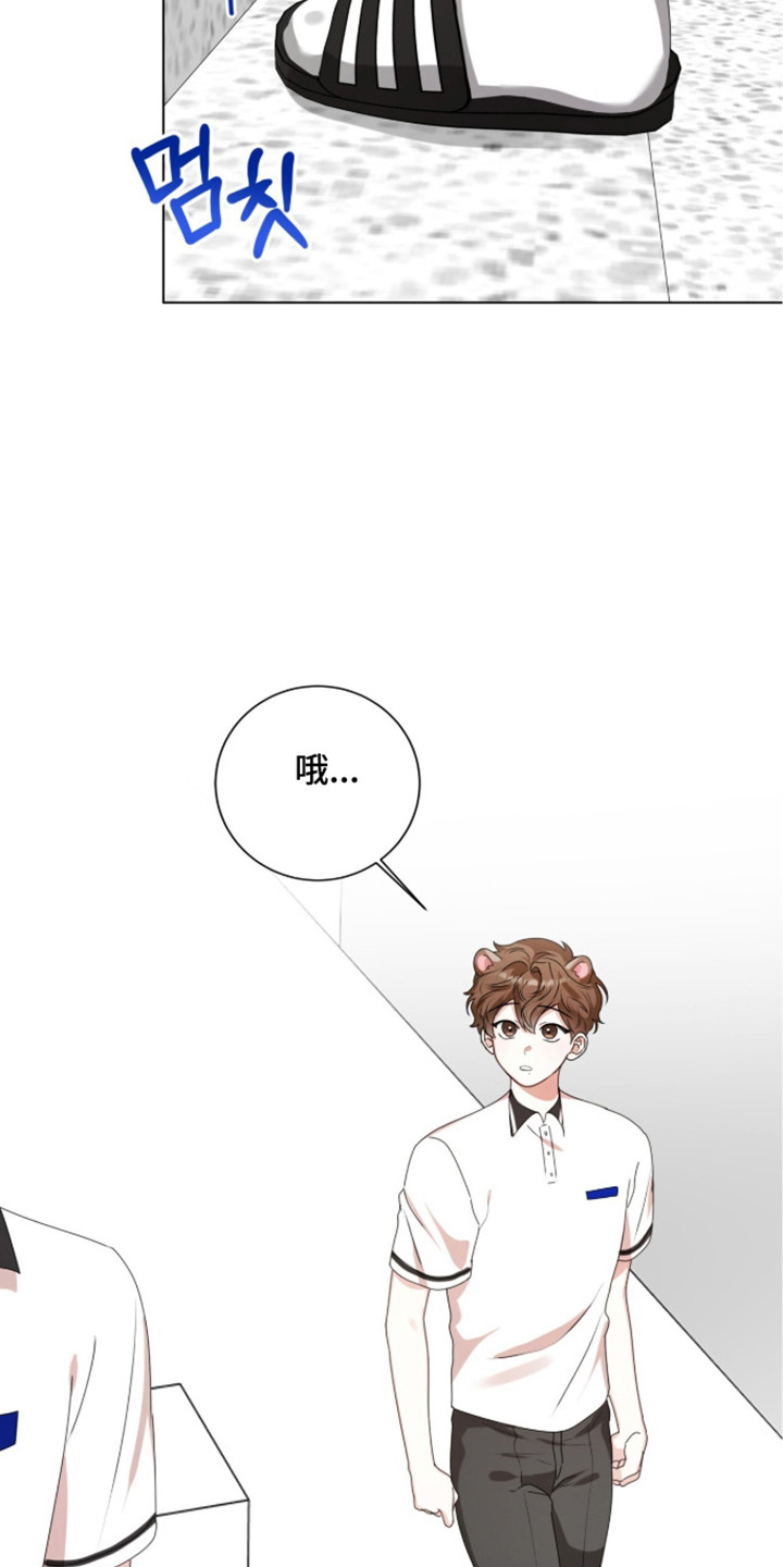 猛兽勿近小说正版漫画,第53章：秘密武器1图