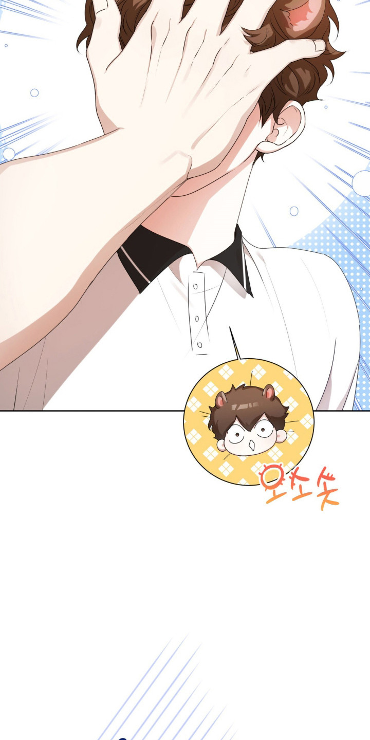 猛兽解释漫画,第47章：限定白毛2图