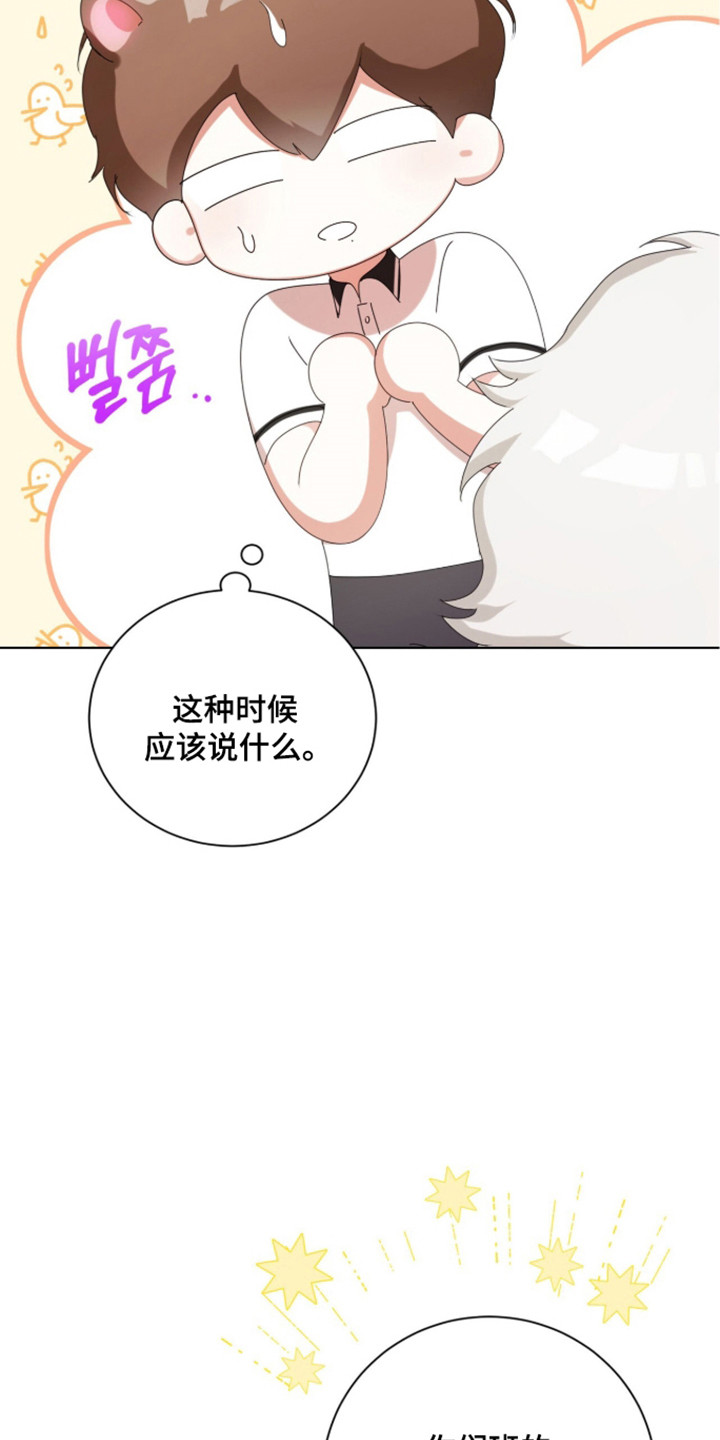 猛兽勿近小说正版漫画,第53章：秘密武器1图