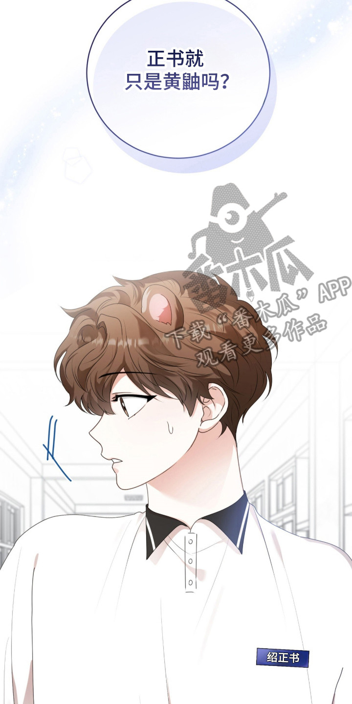 猛兽勿近漫画,第47章：限定白毛4图