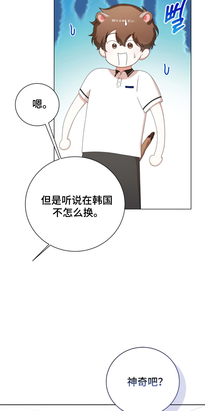 猛兽勿近漫画,第47章：限定白毛2图