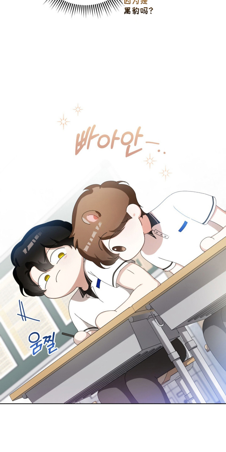 猛兽解释漫画,第47章：限定白毛3图