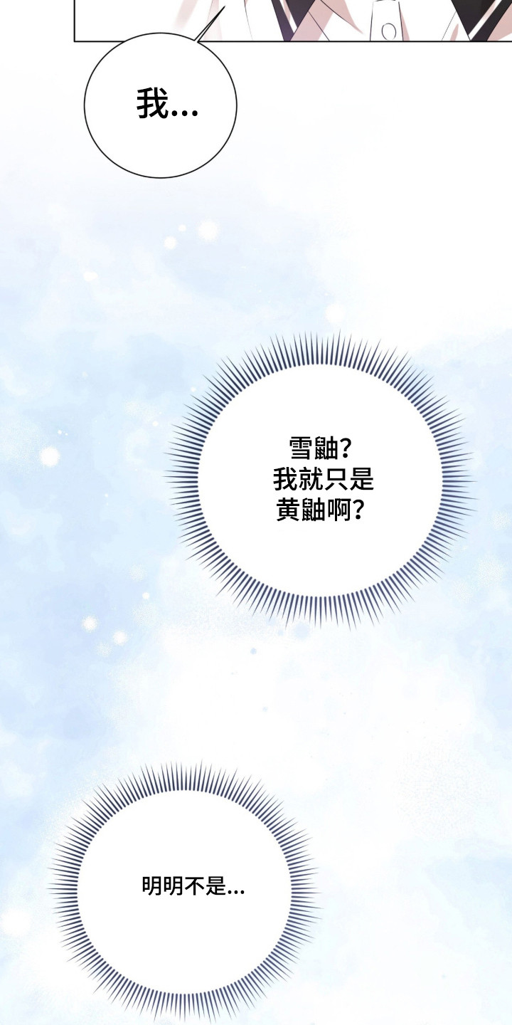 猛兽解释漫画,第48章：缝补裤子3图