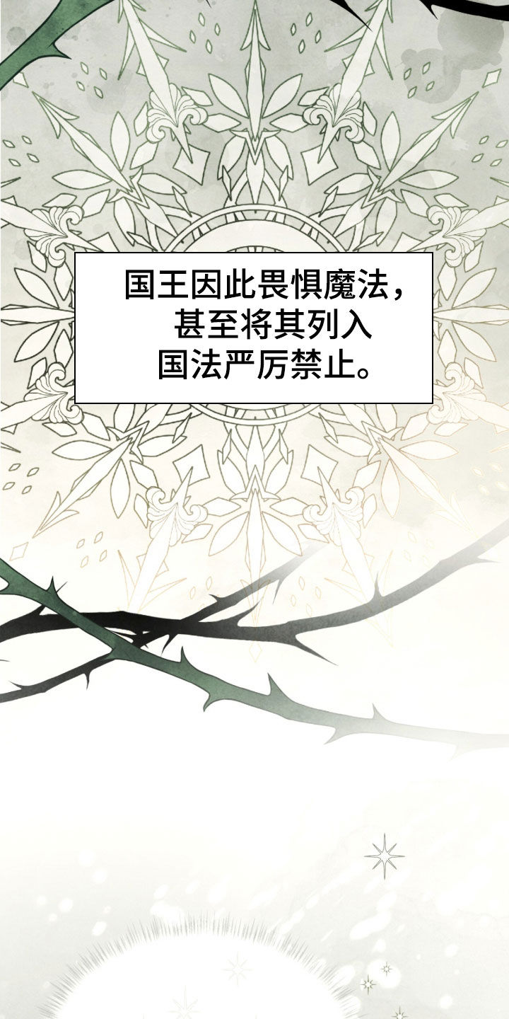 冰封的王嫁漫画,第38章：完全睡不着5图