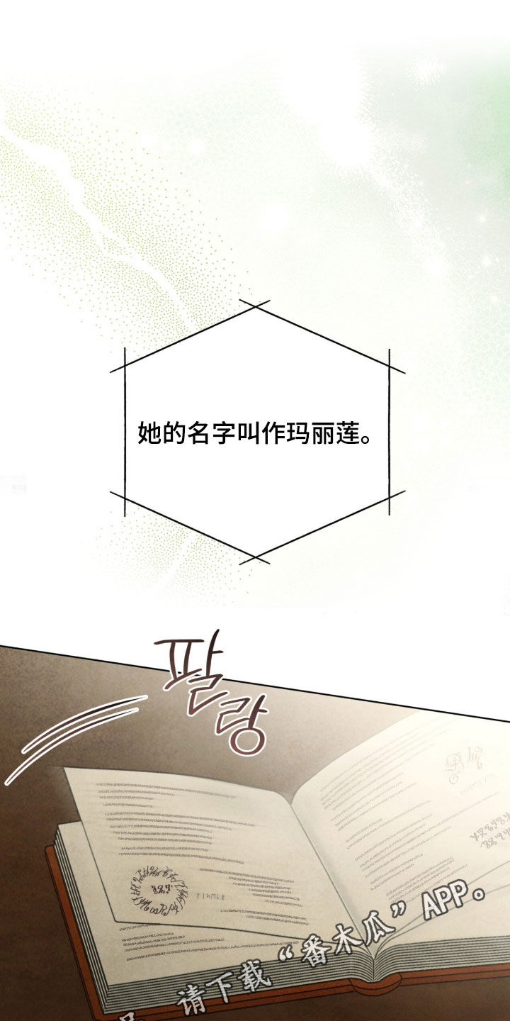 冰封的王嫁漫画,第33章：下一任君主1图