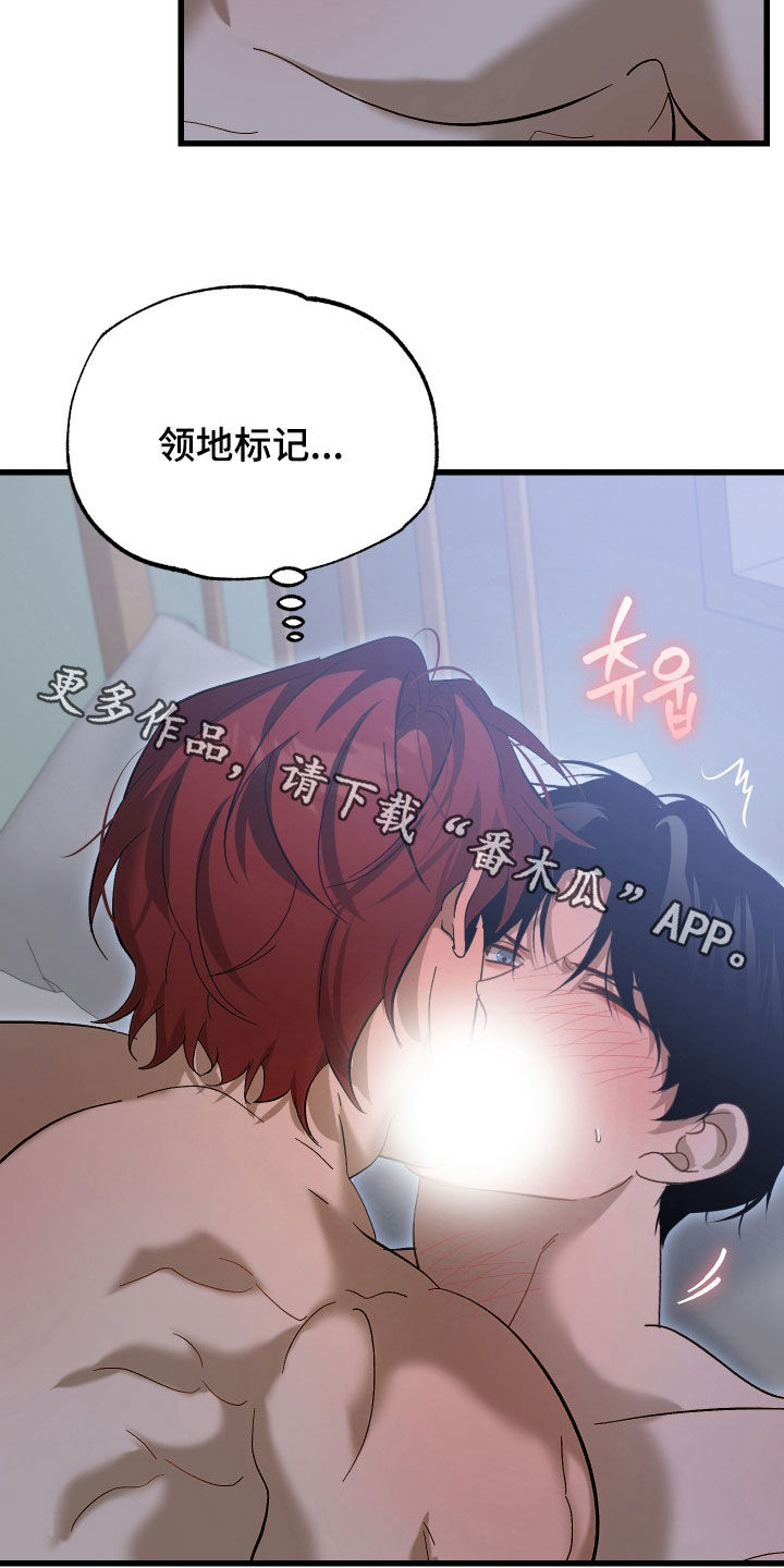 逆轨交织漫画,第33章：领地标记2图