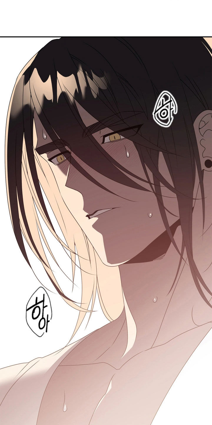 底牌与谎言漫画,第26章：发现目标4图