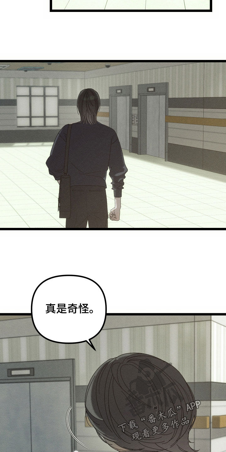 窥秘者漫画,第28章：真是奇怪4图