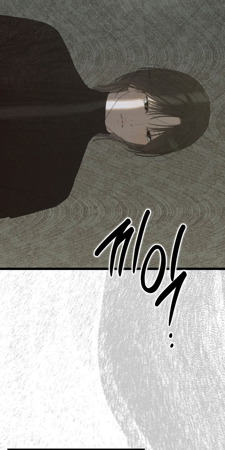 窥秘者漫画,第23章：这不可能2图