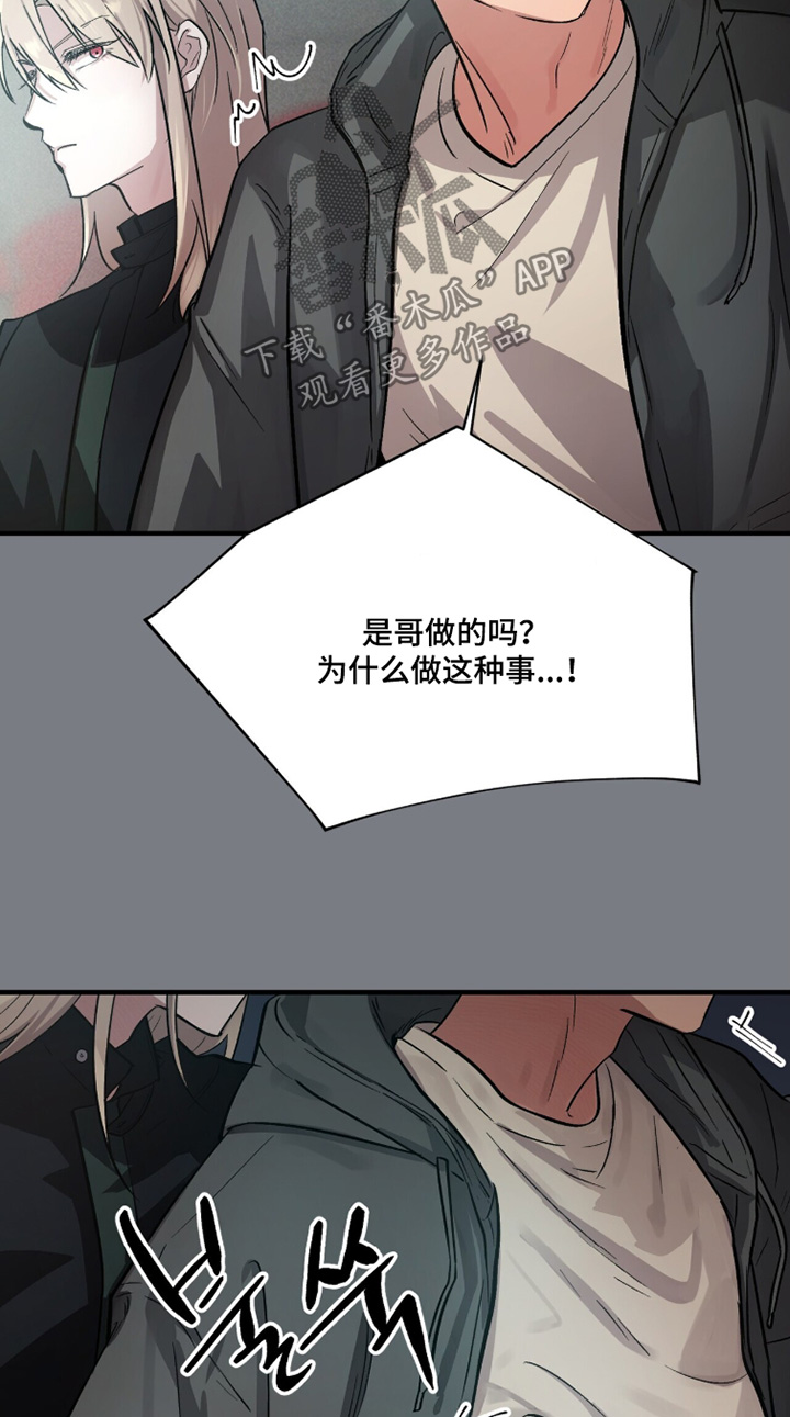 千年灵物盯上我漫画,第24章：独自追星2图