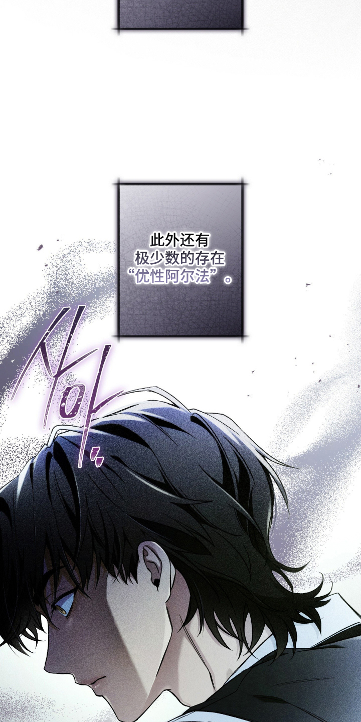 狩猎黑虎漫画,第4章：手机3图