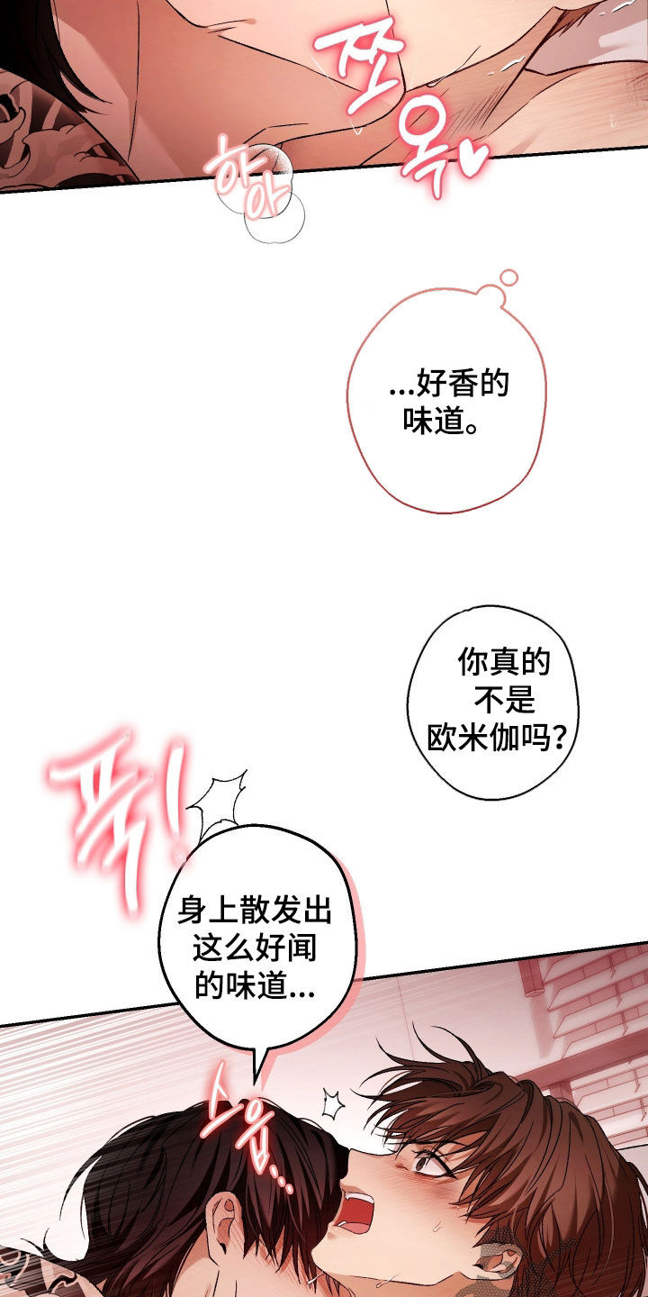 狩猎黑虎漫画,第21章：这才刚开始4图
