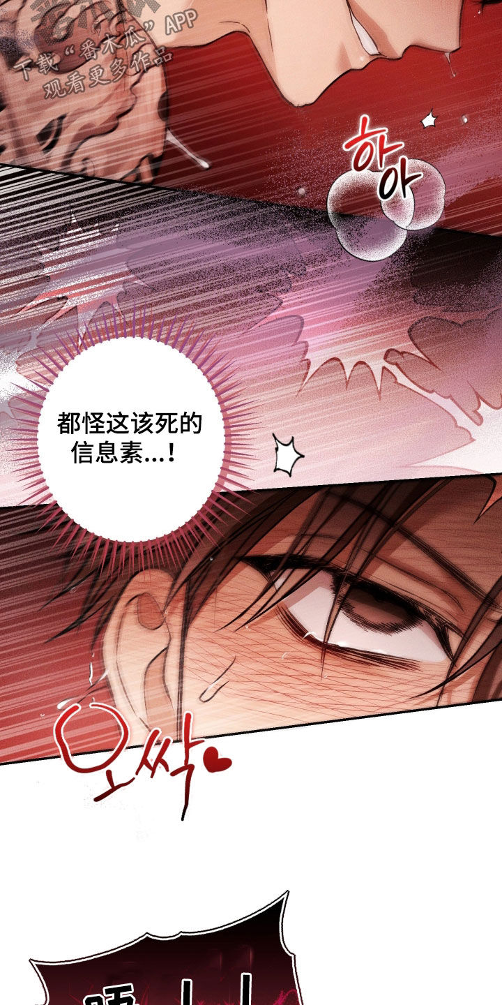 狩猎黑虎漫画,第21章：这才刚开始4图