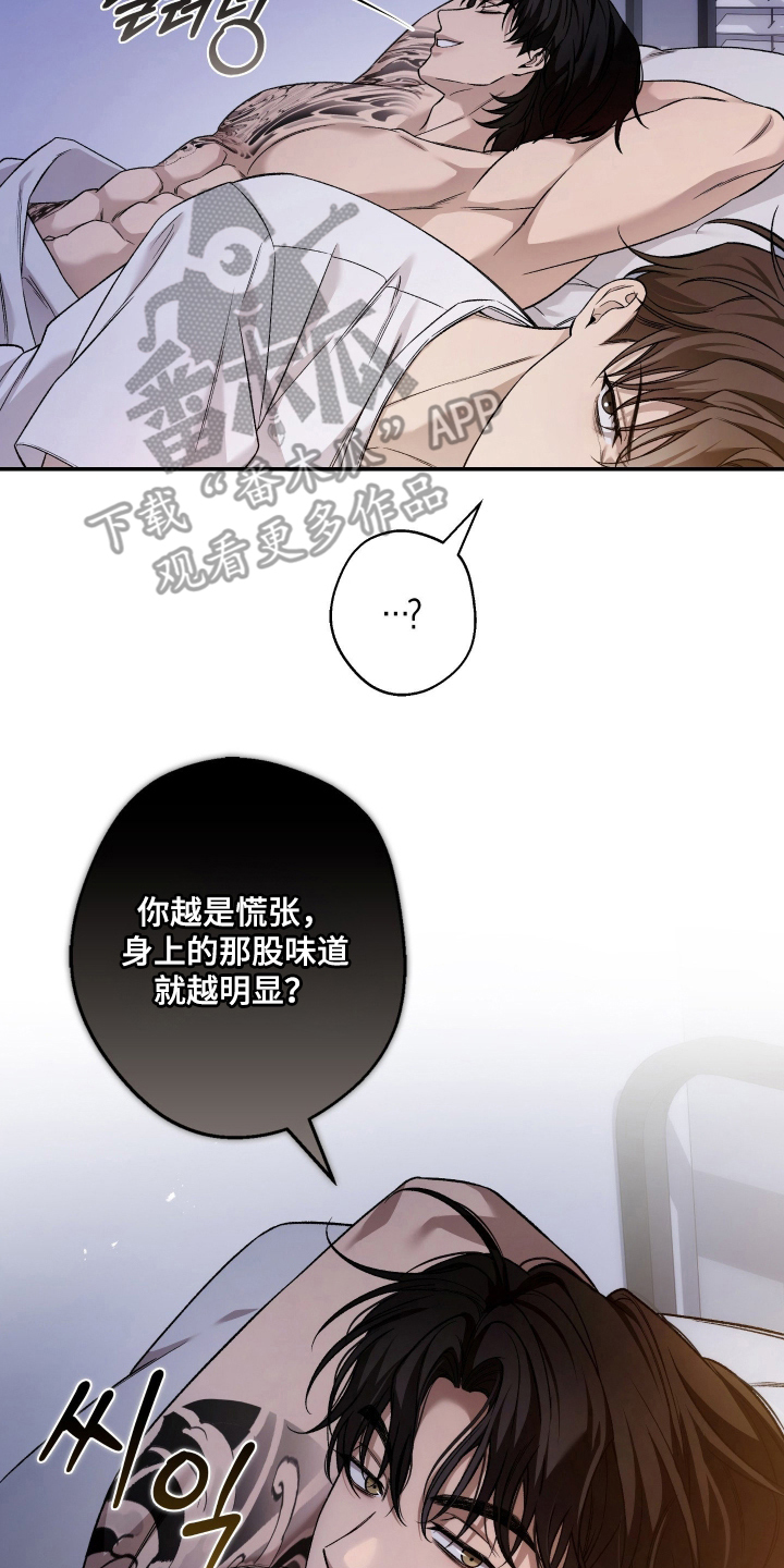 狩猎黑虎漫画,第9章：靠过来点4图