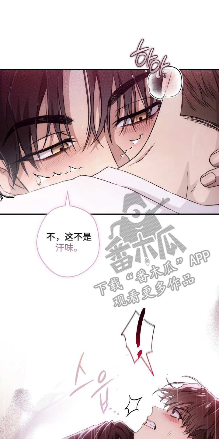 狩猎黑虎漫画,第8章：勾人的气味3图