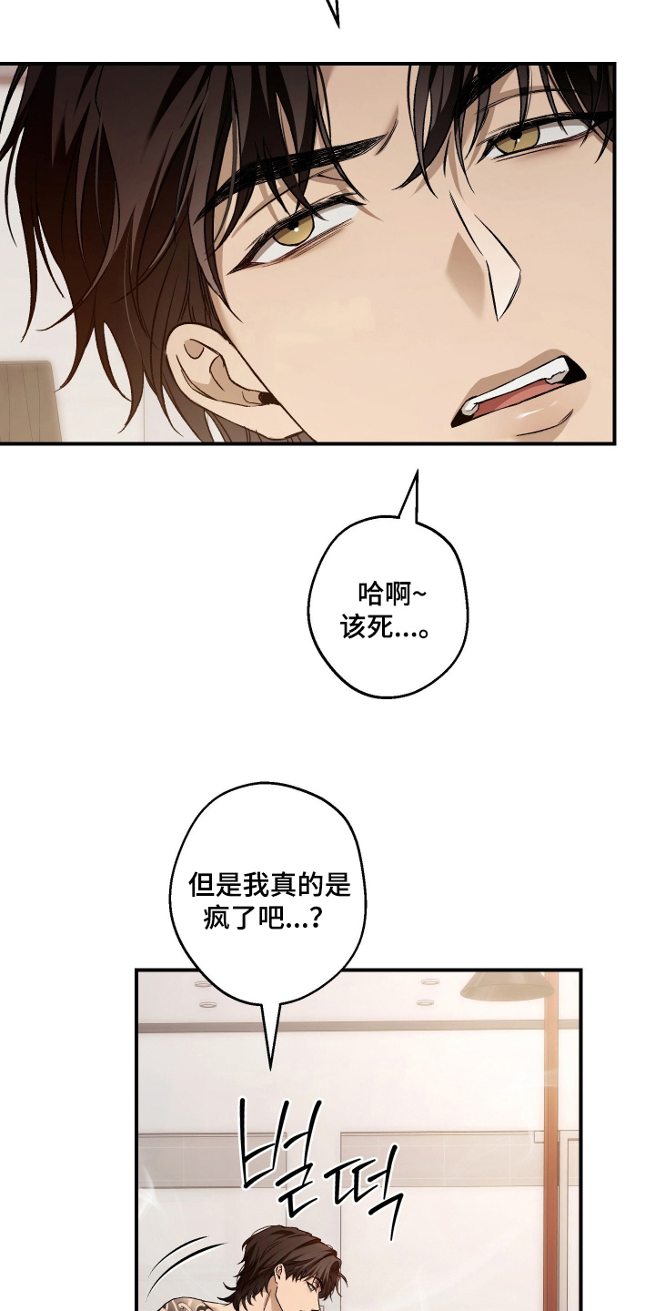 狩猎黑虎漫画,第13章：可恶的家伙2图