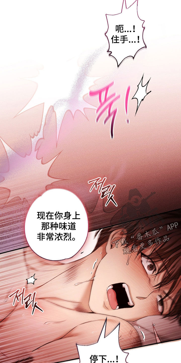 狩猎黑虎漫画,第21章：这才刚开始1图