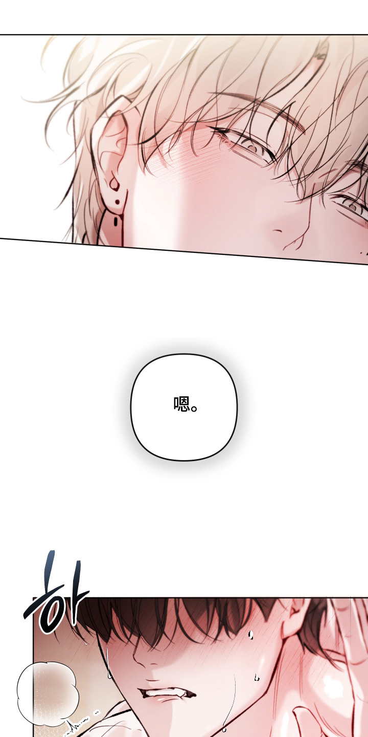 洁癖向导与变态哨兵漫画,第17章：不是这个意思3图