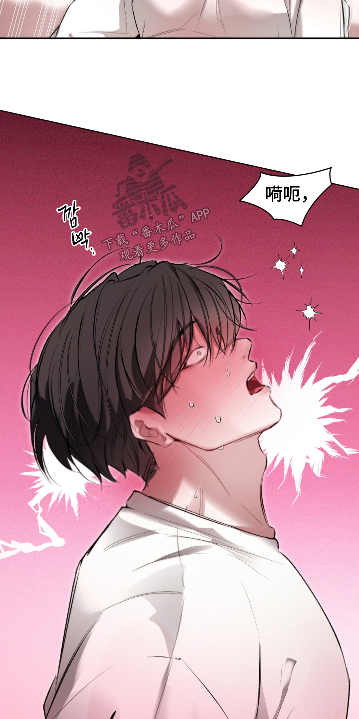 第27章：什么都不要3