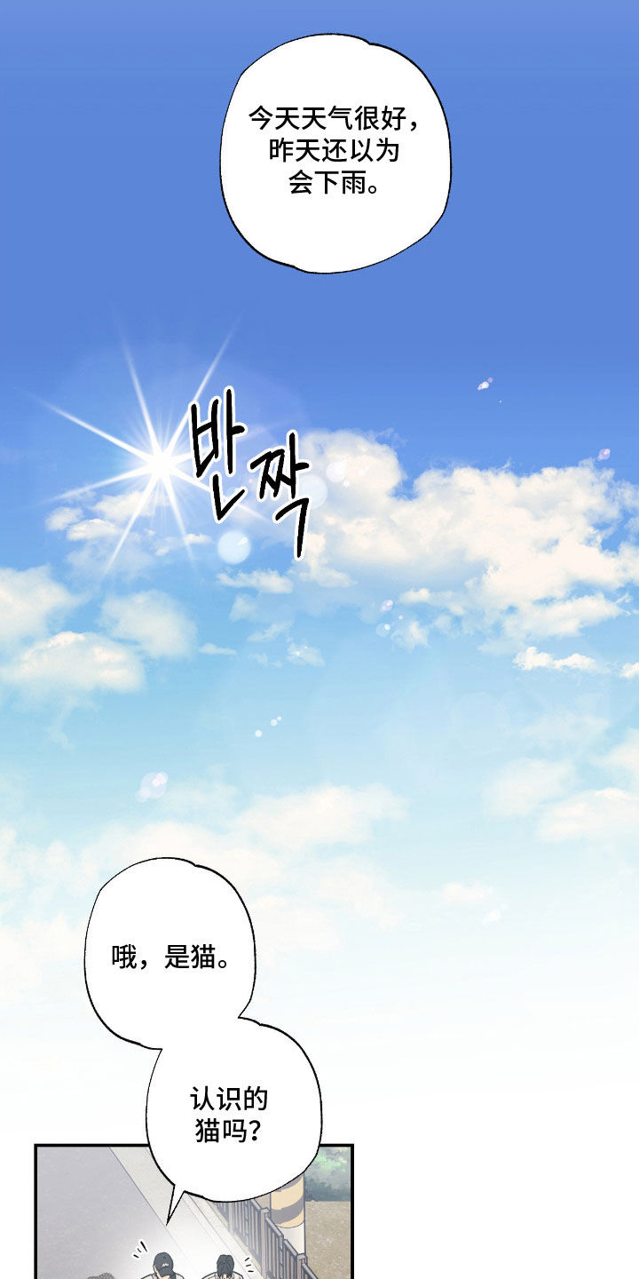 猫大爷和我漫画,第23章：用心学习1图