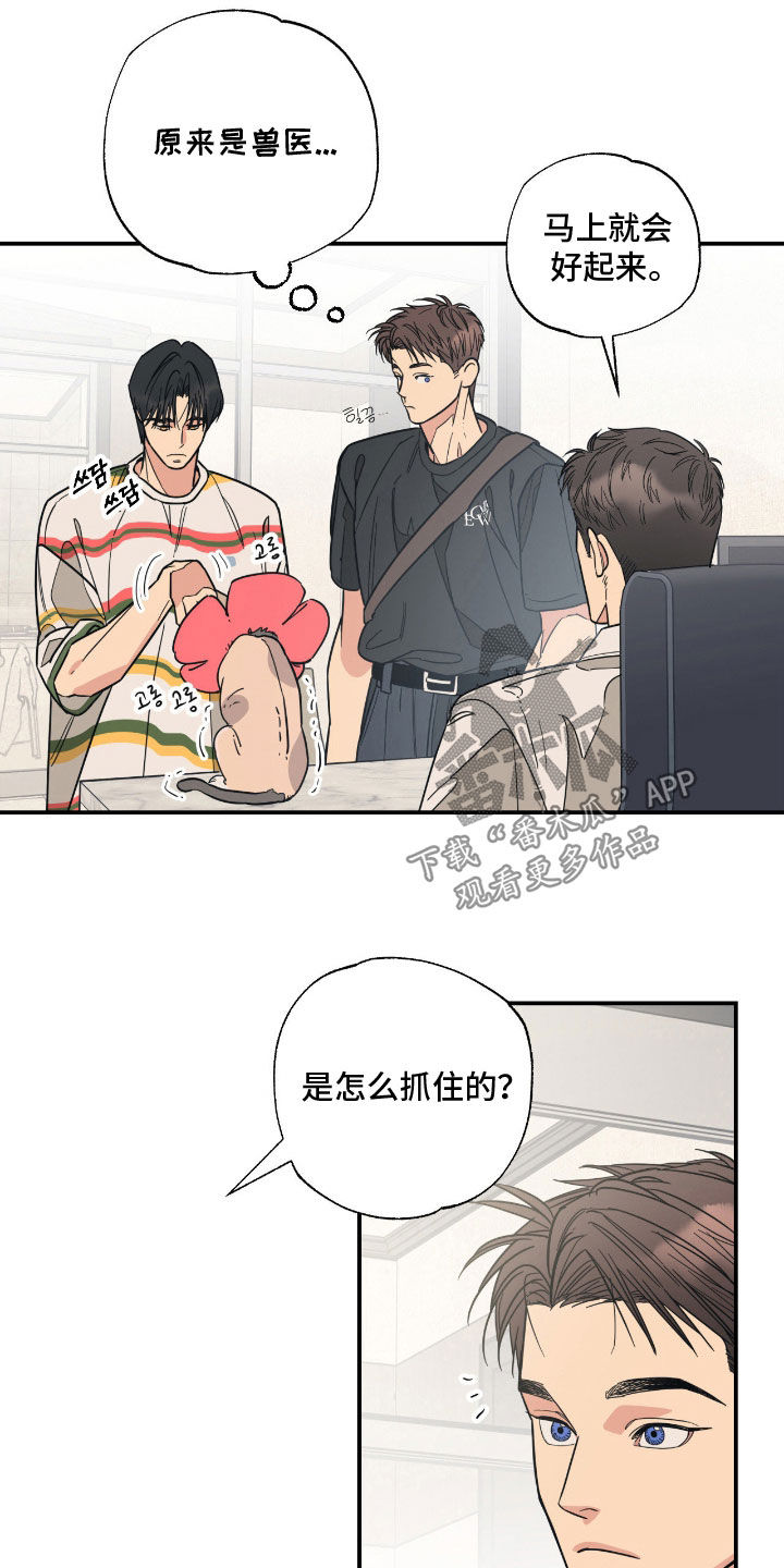 猫大爷和我漫画,第20章：不知分寸3图