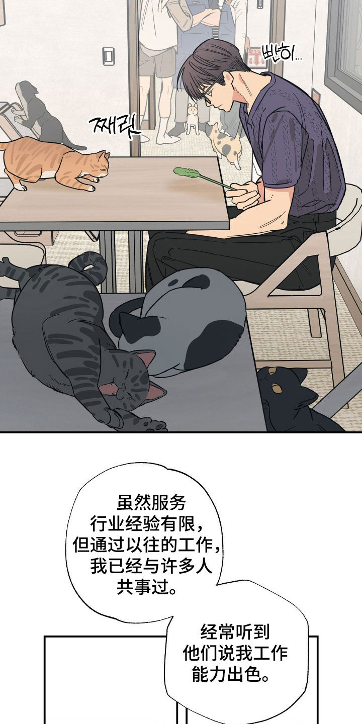 猫大爷和我漫画,第25章：只是朋友3图