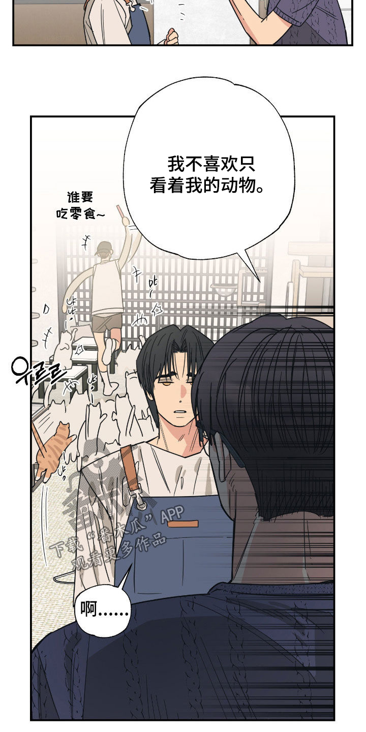 猫大爷和我漫画,第25章：只是朋友2图