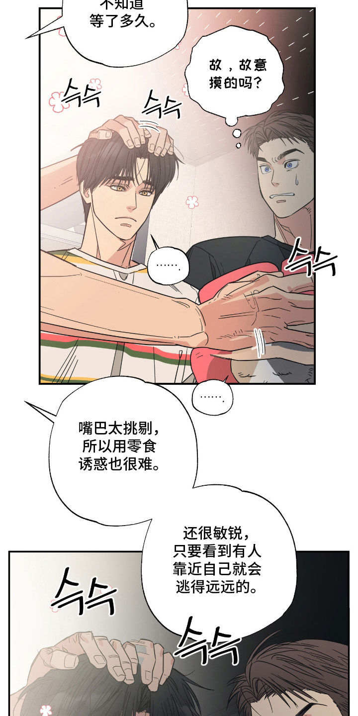 猫大爷和我漫画,第20章：不知分寸3图