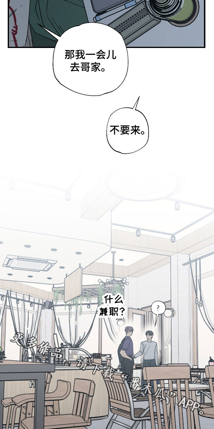 猫大爷和我漫画,第24章：恋爱咨询5图