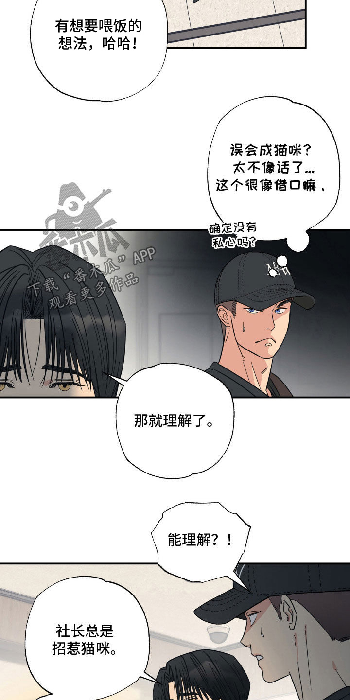 猫大爷和我漫画,第20章：不知分寸1图