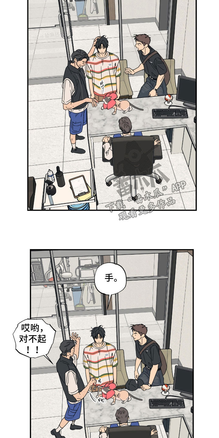 猫大爷和我漫画,第20章：不知分寸2图
