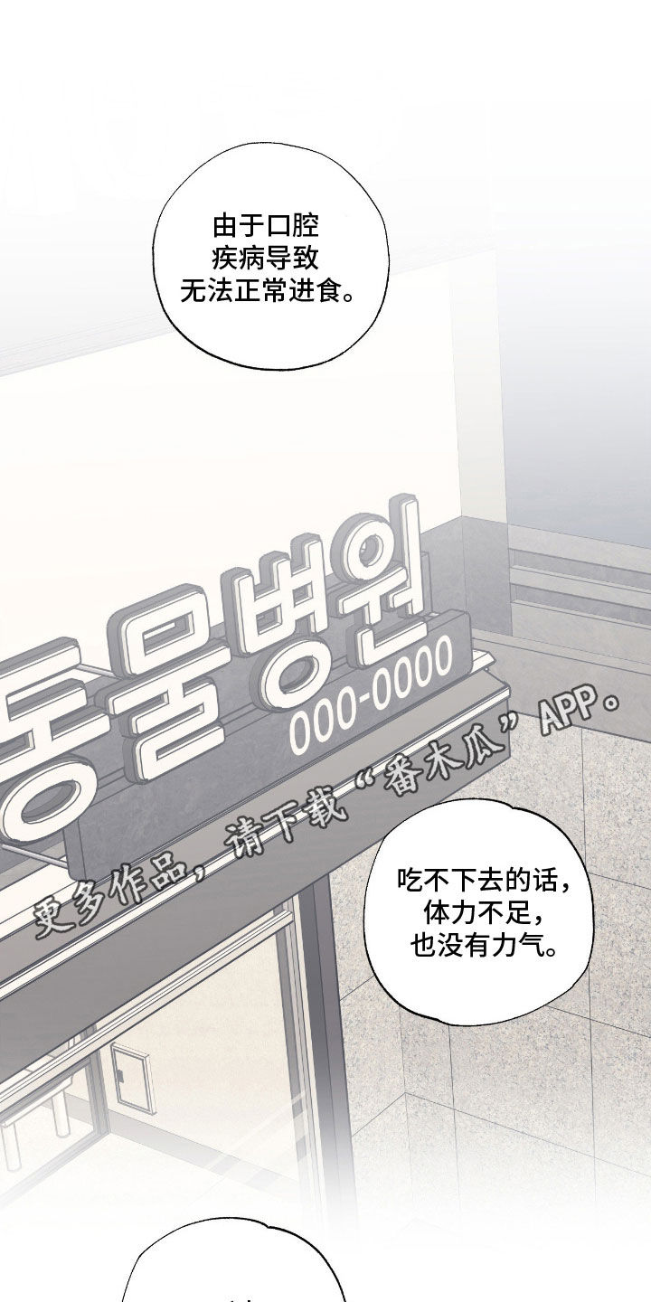 猫大爷和我漫画,第20章：不知分寸1图