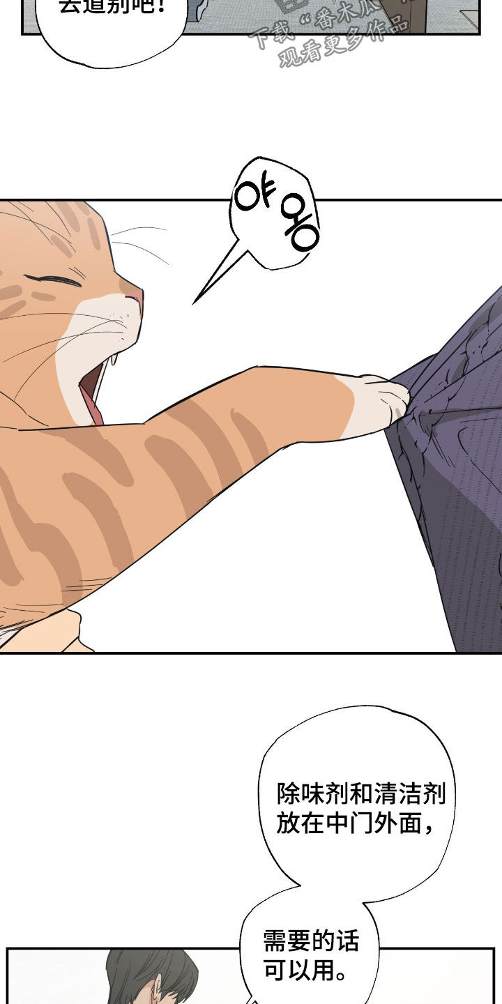 猫大爷和我漫画,第25章：只是朋友4图
