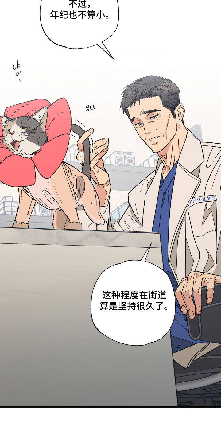 猫大爷和我漫画,第20章：不知分寸2图