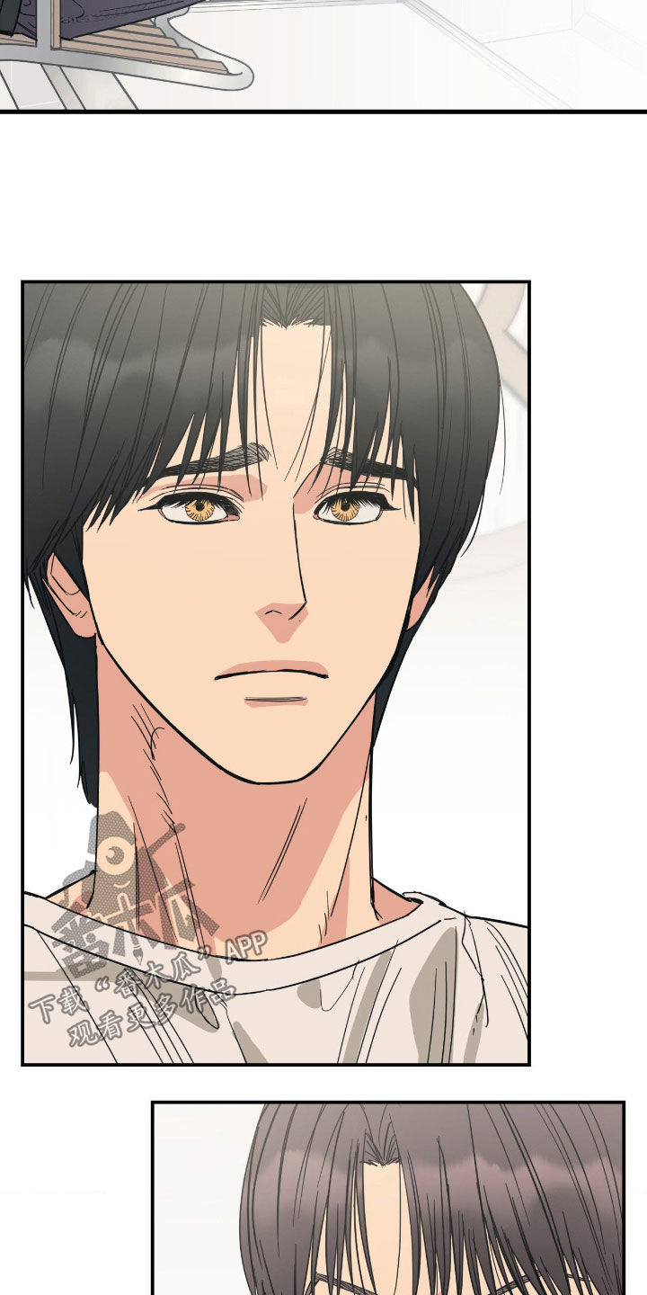 猫大爷和我漫画,第23章：用心学习3图