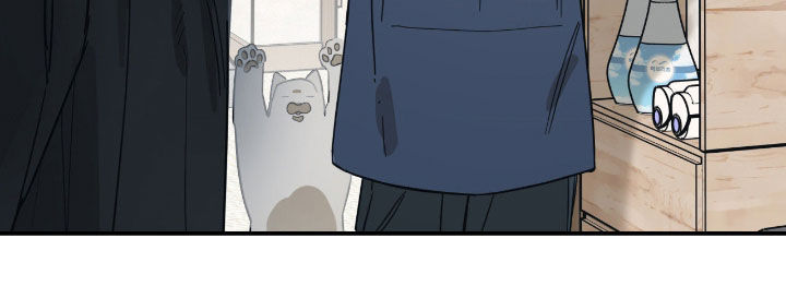 猫大爷和我漫画,第25章：只是朋友1图