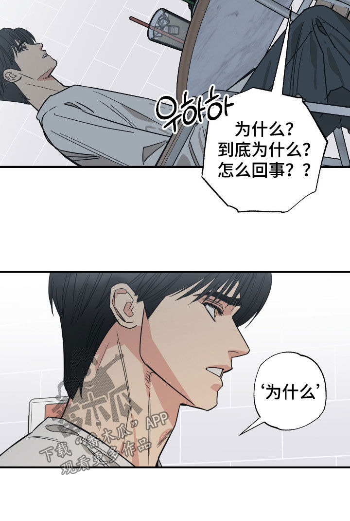 猫大爷和我漫画,第24章：恋爱咨询1图