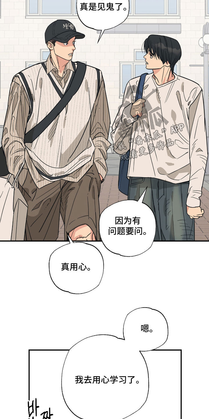 猫大爷和我漫画,第23章：用心学习4图